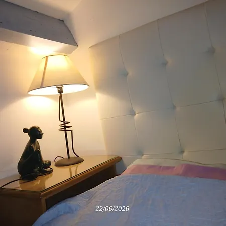 Apartment Happydays Spacieux Duplex Climatise Cannes